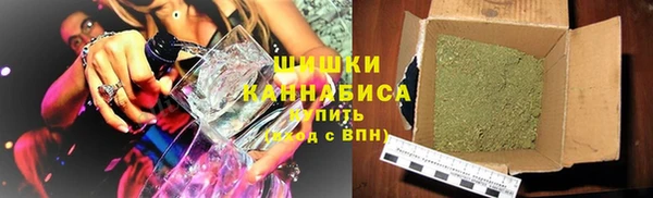 индика Арсеньев